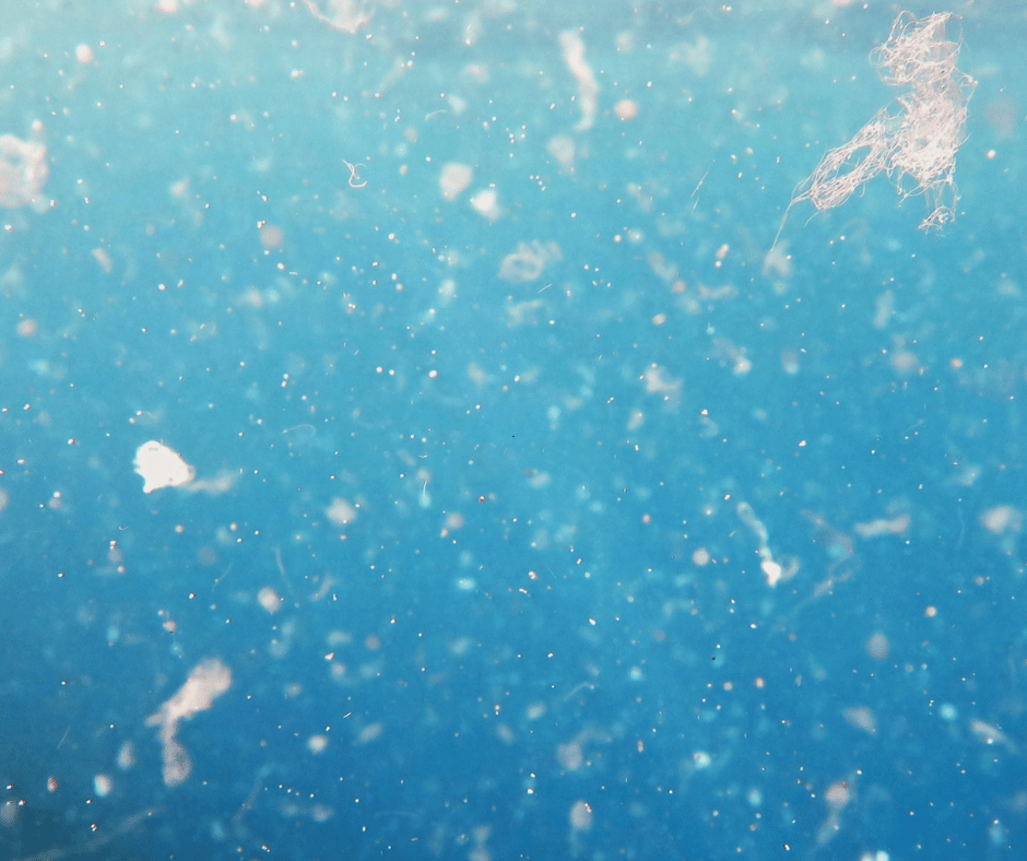 How Does CO2 Get Contaminated